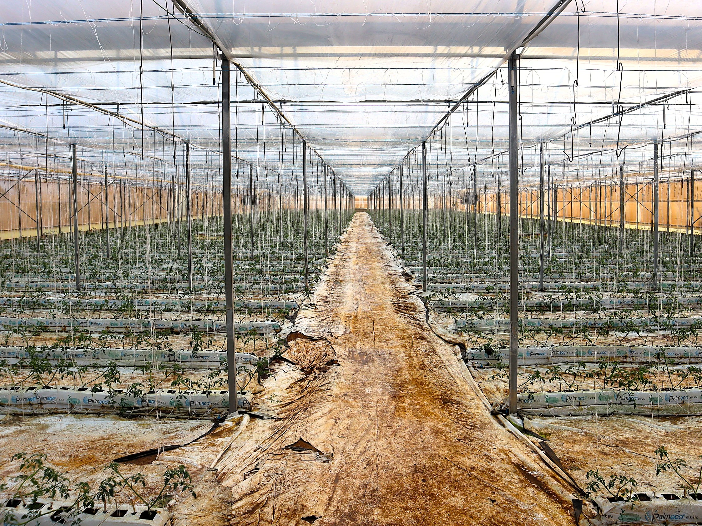 Azienda Agricola Bonvento Antonino - Serra Idroponica
