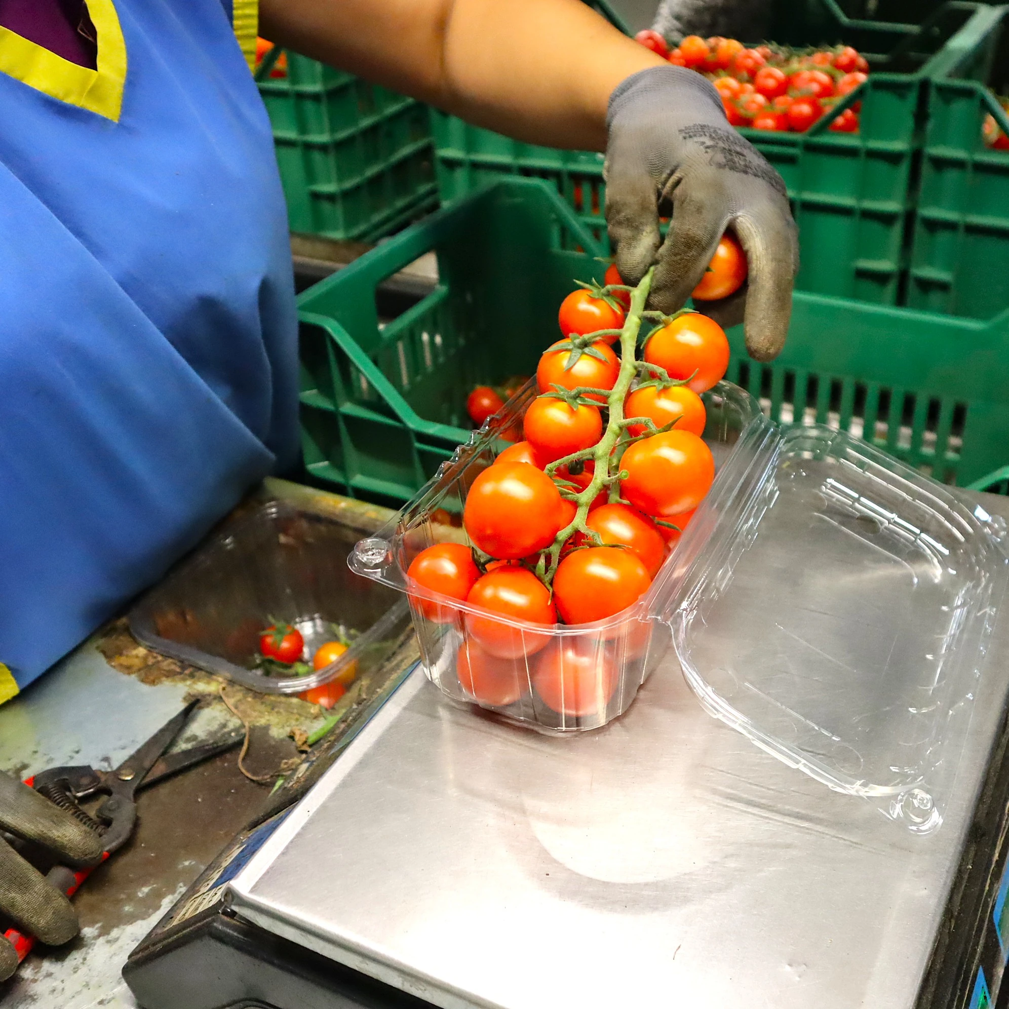 Lavorazione